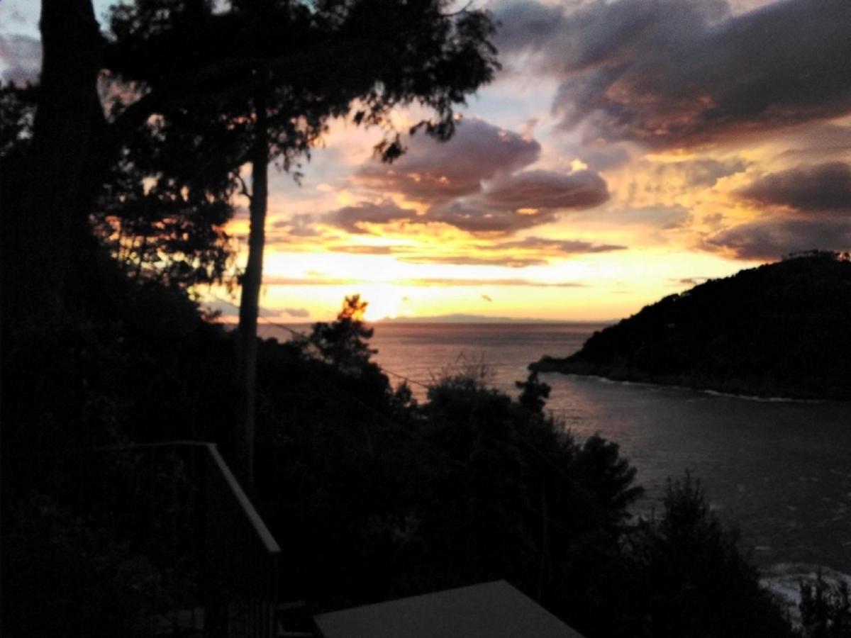 Villa Mimosa Splendida Vista Mare ボナッソーラ エクステリア 写真