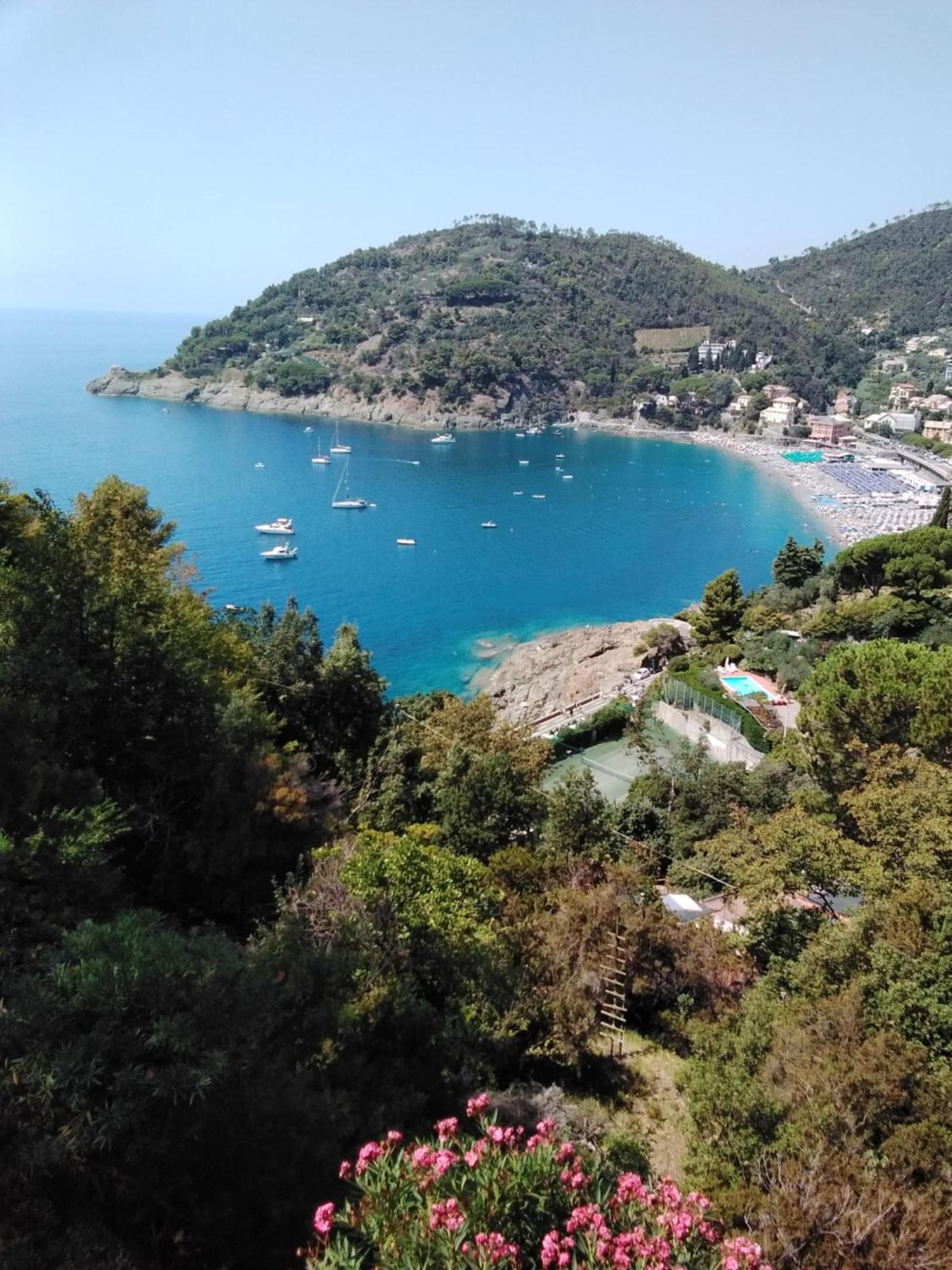 Villa Mimosa Splendida Vista Mare ボナッソーラ エクステリア 写真