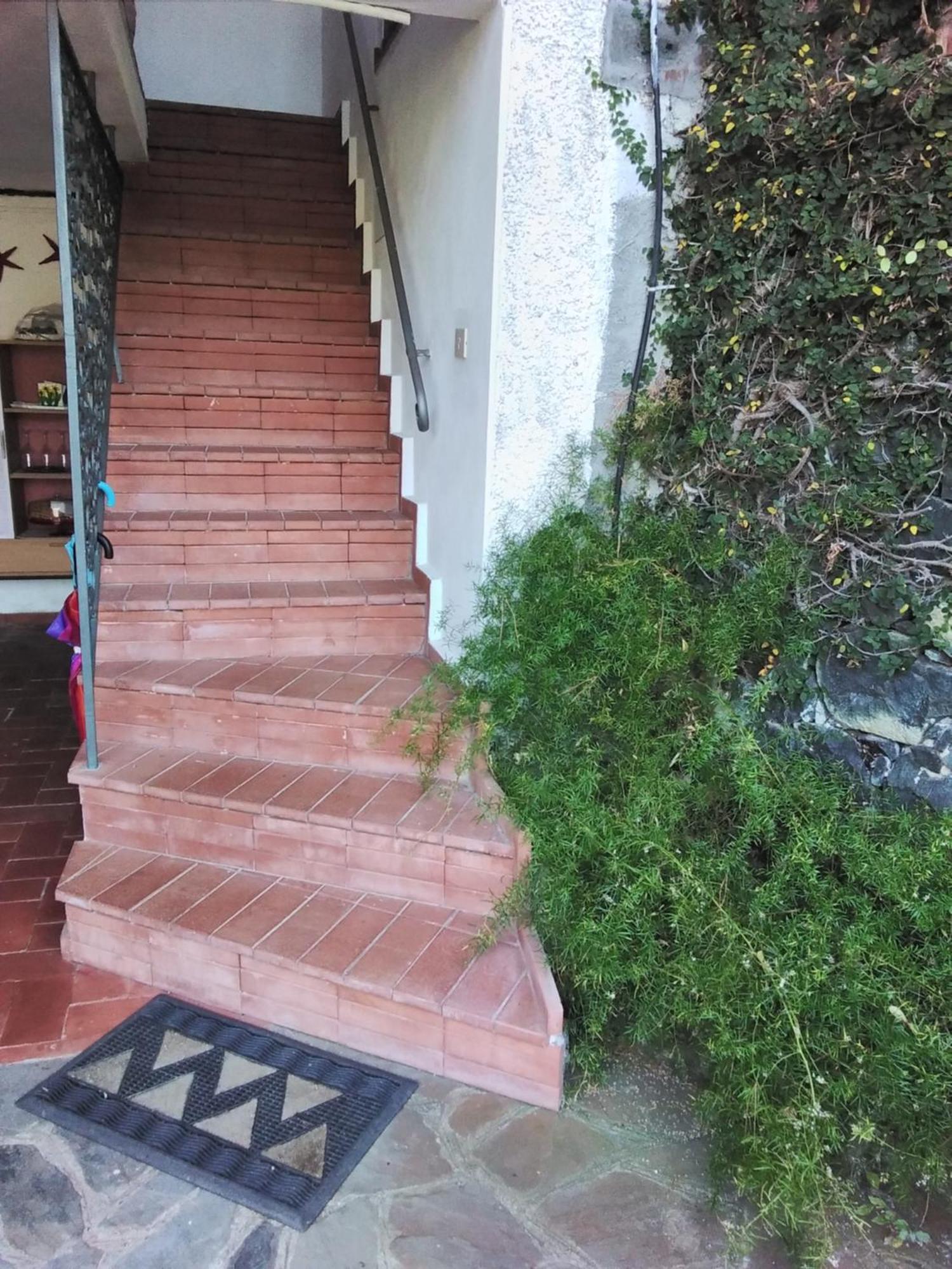Villa Mimosa Splendida Vista Mare ボナッソーラ エクステリア 写真