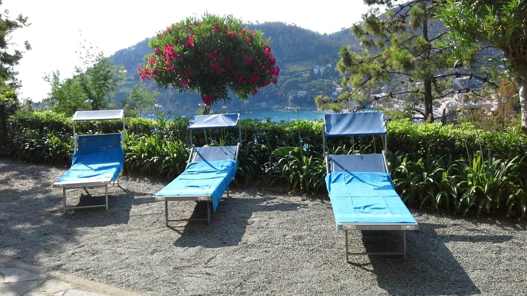 Villa Mimosa Splendida Vista Mare ボナッソーラ エクステリア 写真