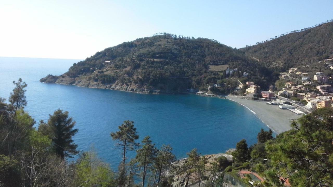 Villa Mimosa Splendida Vista Mare ボナッソーラ エクステリア 写真